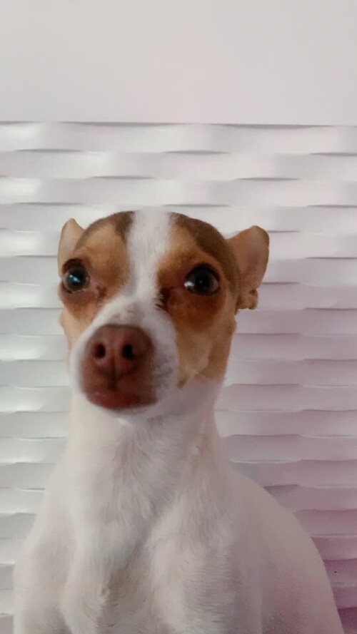 d604a768bdc31fea10916e839be90c7e