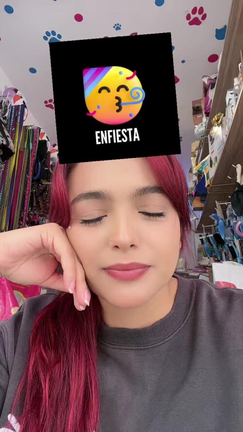 ed169100c54bc1e74476e3219573ae62