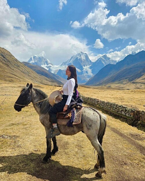 409ccdcf35ed5974a6b2b52bbd28431c