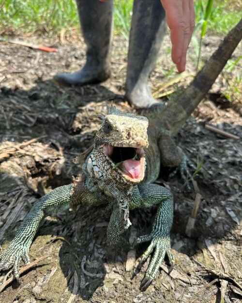 75c7e34694d64fd7736e07aedf24fd4d