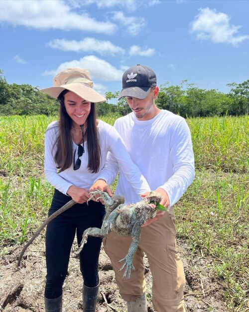 9e403e5b88e76eebb540395db057499b