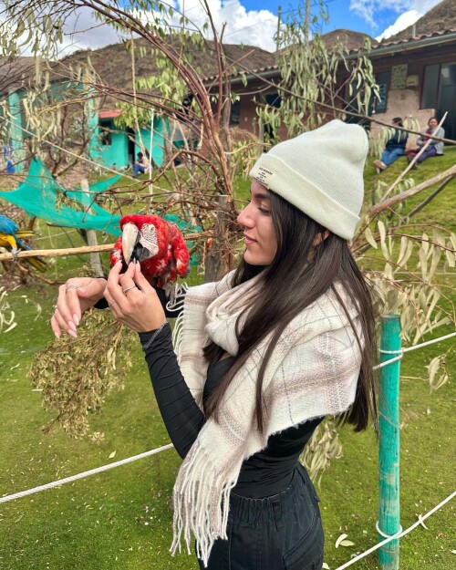 d7f154248dfcdcc4f4bfc3325ae5ee19