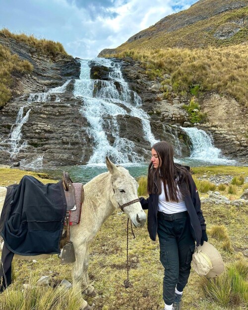 d866947e05b1ab676e8b2c458c43c947