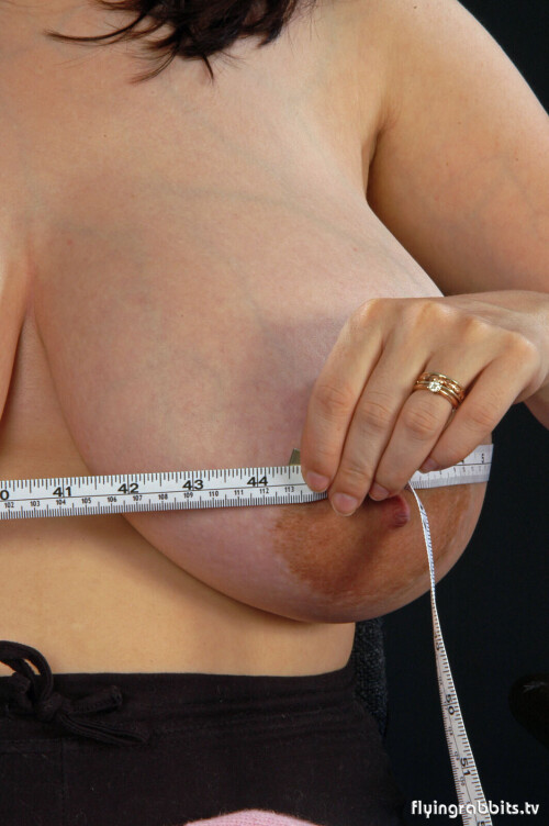 32d0242d34a6ace69f5ff6e505486a09