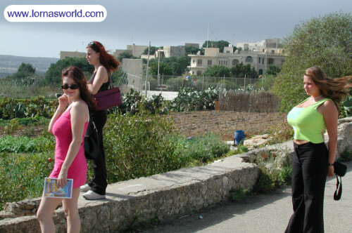 703e98c312af02eb99545b0a5d52d0e0