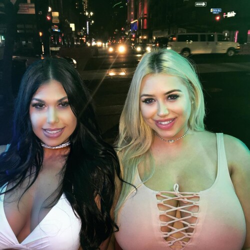 d157d3418e33b4ba905254fd54673ccc