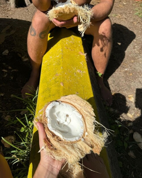 2d55c34401286a889577caa9e6a2c5ab