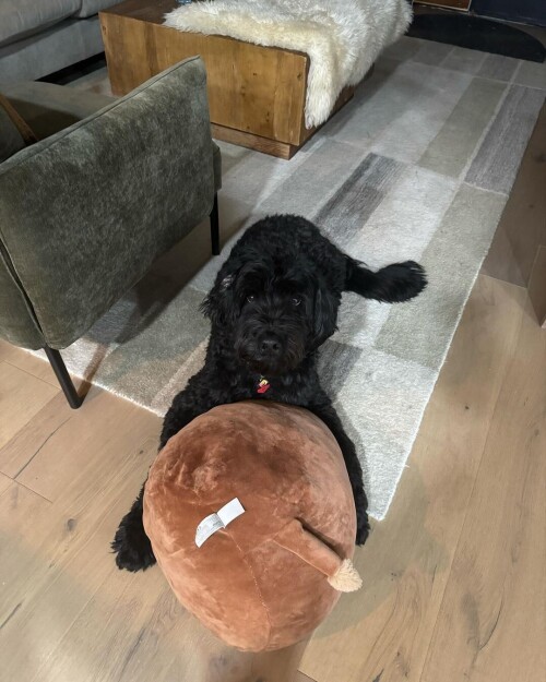 59edb30c63e709e5a50ee7d5e4a13c10