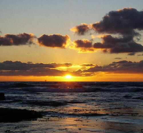 5a568a06ee6fb3f82b4c47a6e85290e4