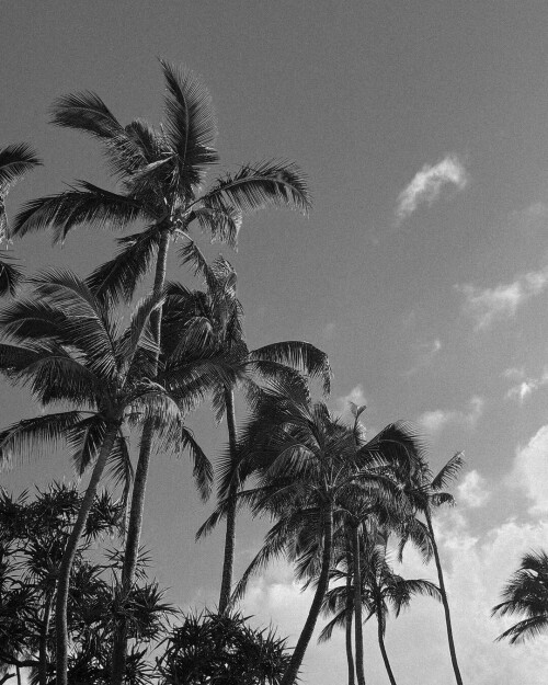 6db8754a4fa70a5e8691a262585ccb43