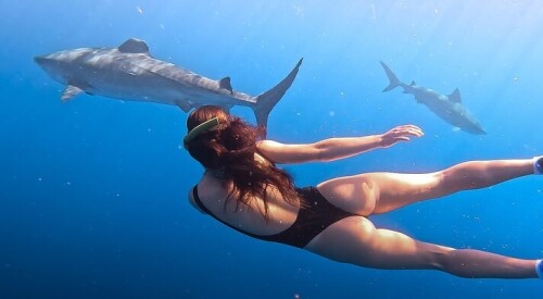 769e019ea0b4ce41396335690cce4ec3