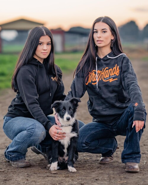 82beabcd5ffe2936abbbe78d774ccef3