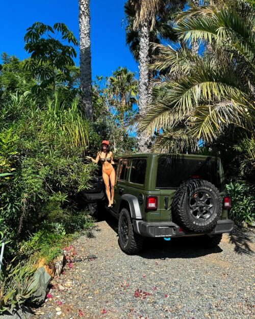 9d188825b1a78c7044012d8a6b730547