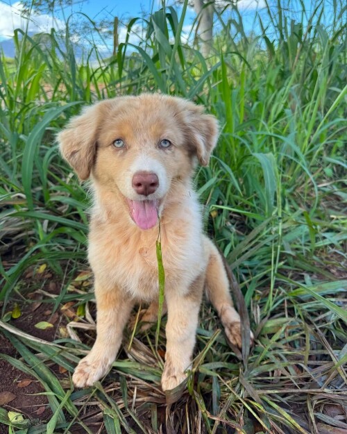 a79a2a0611f6c75ba5af51cfe25f3369