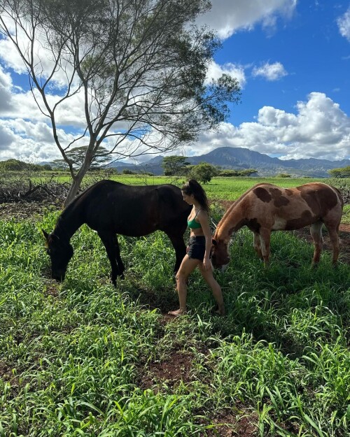 ae7cc9055465e4a9b0f9994c3ef7f593