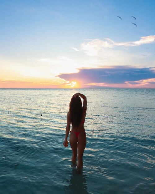 b3ff5931bed99e0239ea6be3d718956d