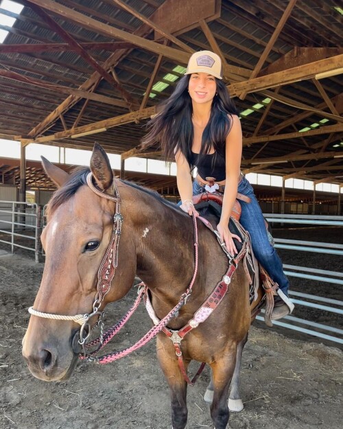 bf2cd14c14f7c509d830c3428847ed73