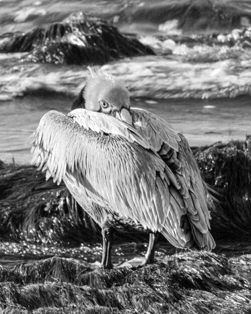 df80c82a6deae093642bd7416efbb17e