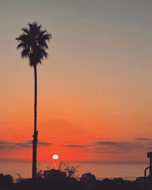 ff86cd76b5e4e8a2586420279730f5b1