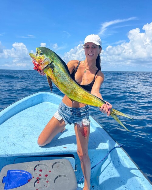 ff9092b899228ea34c7711f43f1d7aee