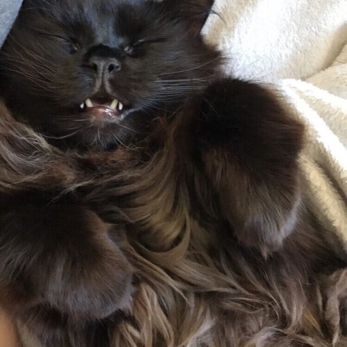 031e7bb9272ccca9f19504906a63aa80