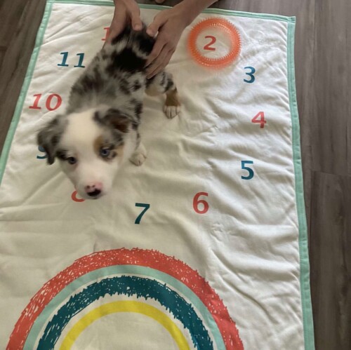 24b7f7351ede02fd29574d7dc1f696f8