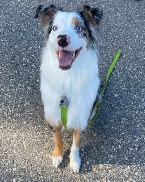 4c59cfec5b0aeac4bbab3eab54767473