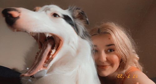 6cc1b70276446f2a2ec92e61b8ea291a