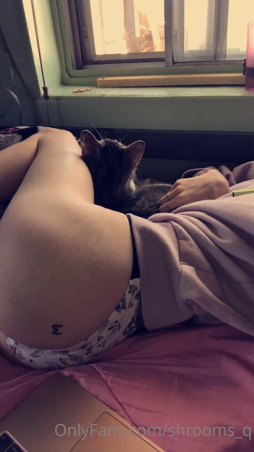 6e7f0b51c718a409658c35a4bf98693e