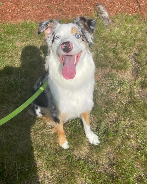 8410afd1d364aeaf3db576d318b111e7