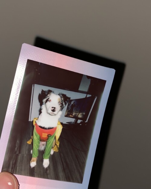 b323438cd2c1845886a8803faa9ebd7d