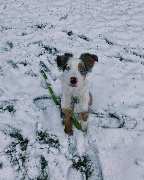 e1ea890c58358c03c4975b4bba1beb1f