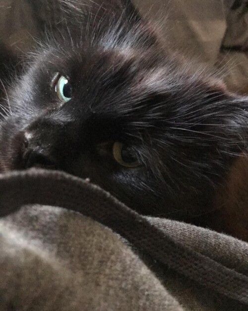 e9e36957858e4825fabaef05857eecab