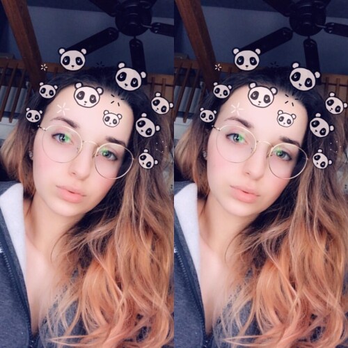 f74372d0237b720ab7a002f7220d8843