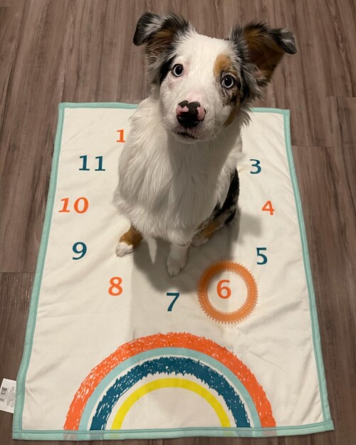 ffef78a85077dc780a0843dc7e54d60c