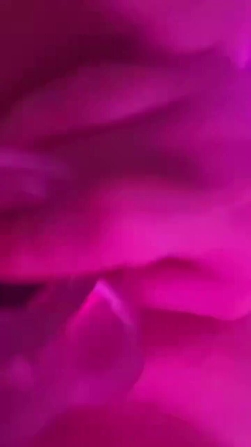 16c290a63534d64b25258d26efc491e5