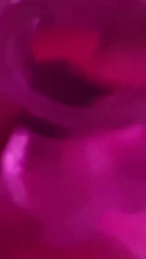 9fd3545ec74bdb48bfbc1c00524d40bc