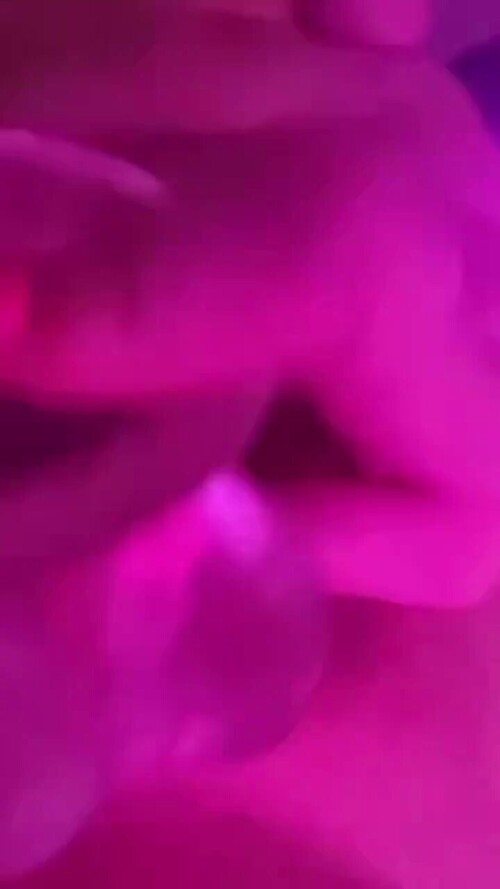 cc8b02d600e109ed3049eb6e6000c8f6