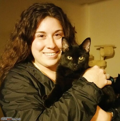 90d27f56cb8d0e5f5575c02c79b562e0