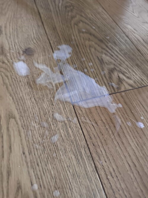 2e369ca9a620c91821d25d98c3b181a6