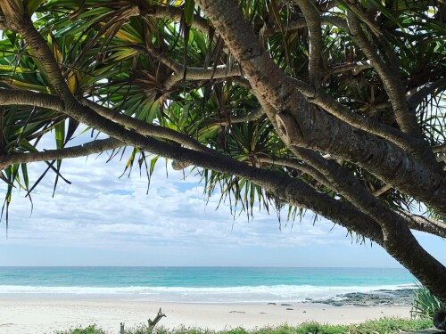 04bb4a3030a729004b90fd82c4c1ab3b