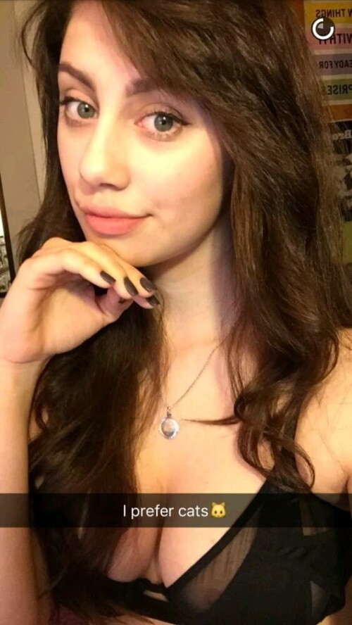 7d16da73ebf81ce63b4682d3584b600a