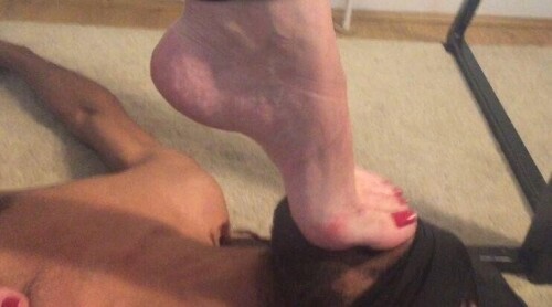 91ccd1915db4ad1720b072cd5df3c1ee