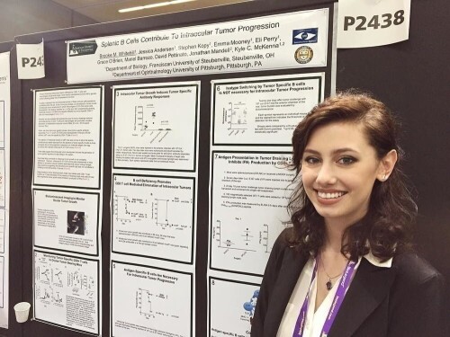 e1cd962933f6d2a3f4c11b659acbfeb0