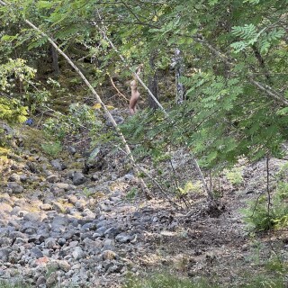 3024x4032_93207189e95cf6cba919b5f793a32b9800c8738814c87e73