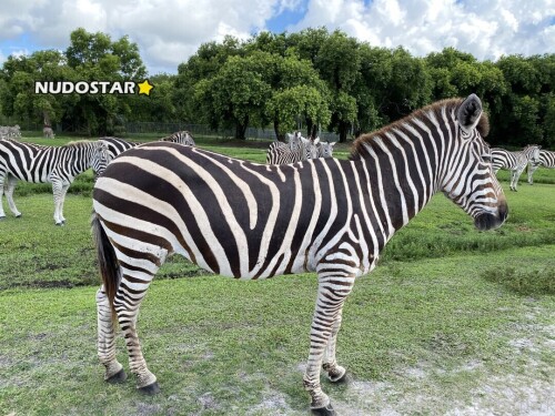 87e8e391dc64bfee77b2a3ecb7fdad86