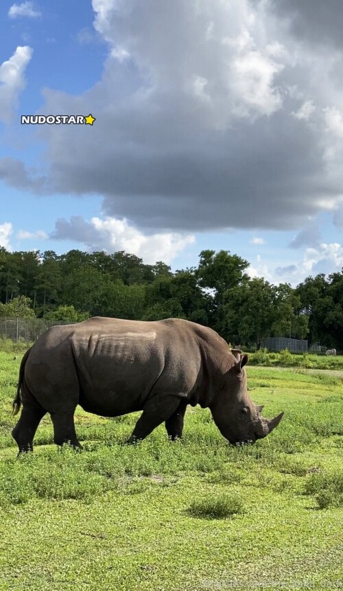 9ab8a38ae9e58c63a40034586e5cd808