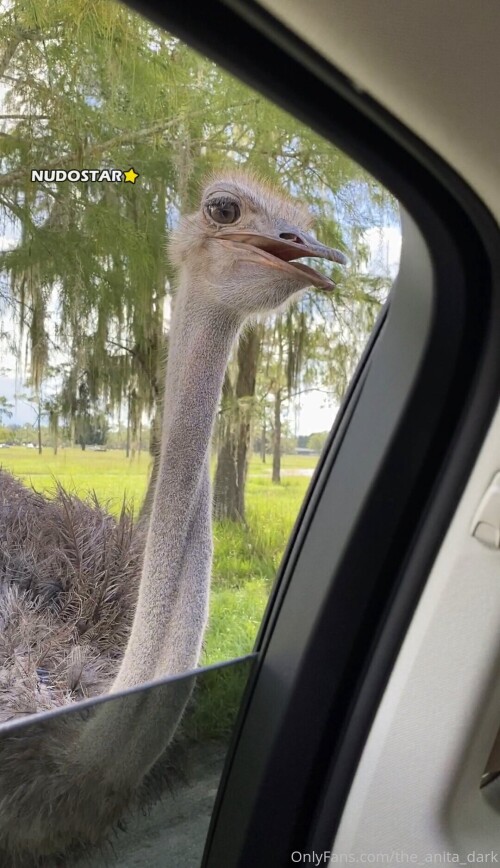 a4c1e06b968881728c88001d170e257a