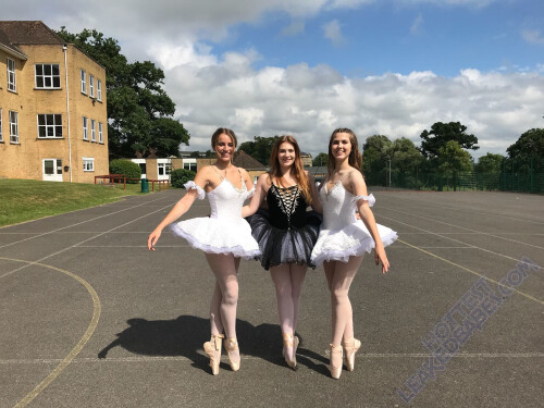 87a3967753deecbfe4fc6c5285fd64fe