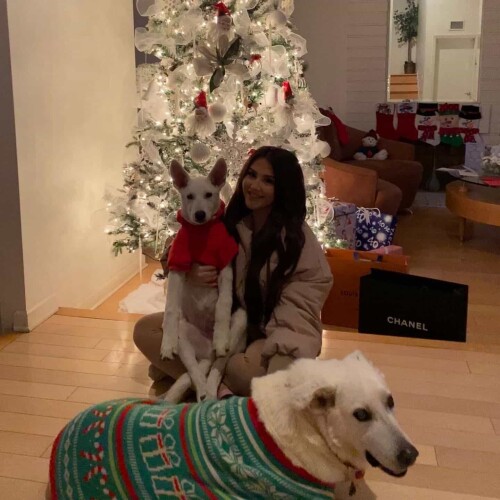 b08c5c9681391d0bd55c43d4d337aec9